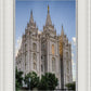 Salt Lake City Utah Temple Rays of Light Portrait