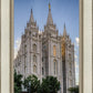 Salt Lake City Utah Temple Rays of Light Portrait
