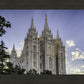 Salt Lake City Utah Temple Rays of Light Portrait