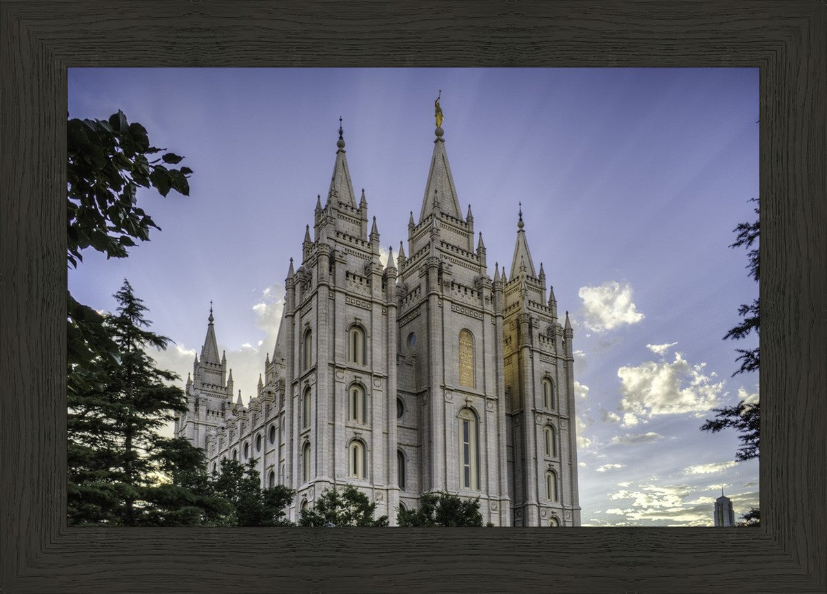 Salt Lake City Utah Temple Rays of Light Portrait