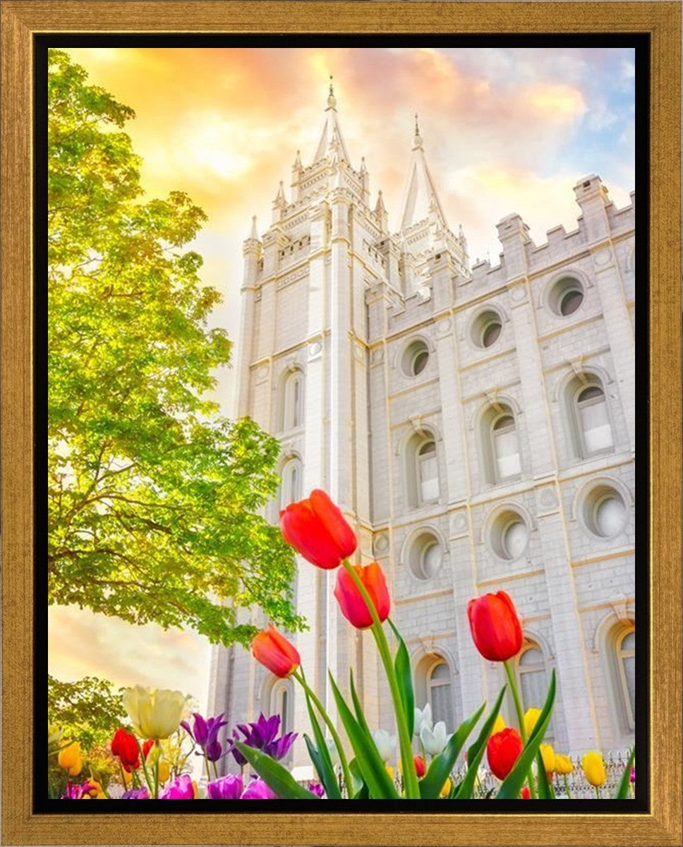 Salt Lake Spring Tulips Gallery Wrap