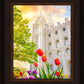 Salt Lake Spring Tulips
