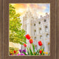 Salt Lake Spring Tulips