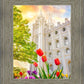 Salt Lake Spring Tulips