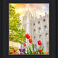 Salt Lake Spring Tulips