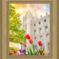 Salt Lake Spring Tulips