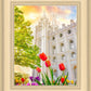Salt Lake Spring Tulips