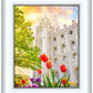 Salt Lake Spring Tulips