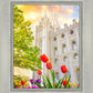 Salt Lake Spring Tulips