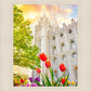 Salt Lake Spring Tulips