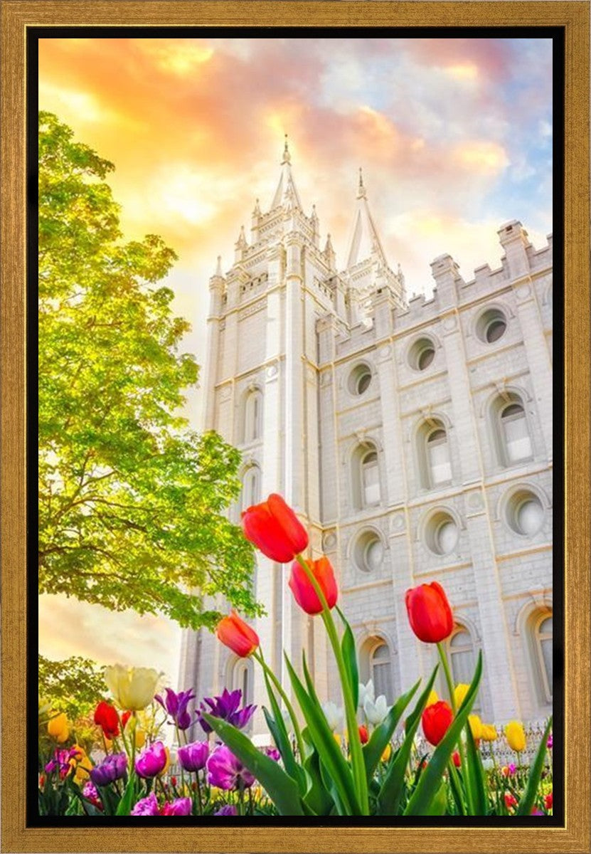 Salt Lake Spring Tulips Gallery Wrap
