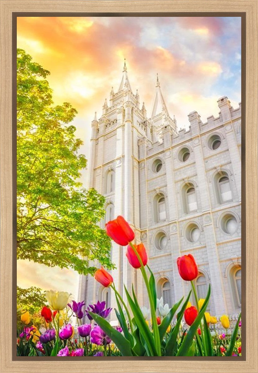 Salt Lake Spring Tulips Gallery Wrap