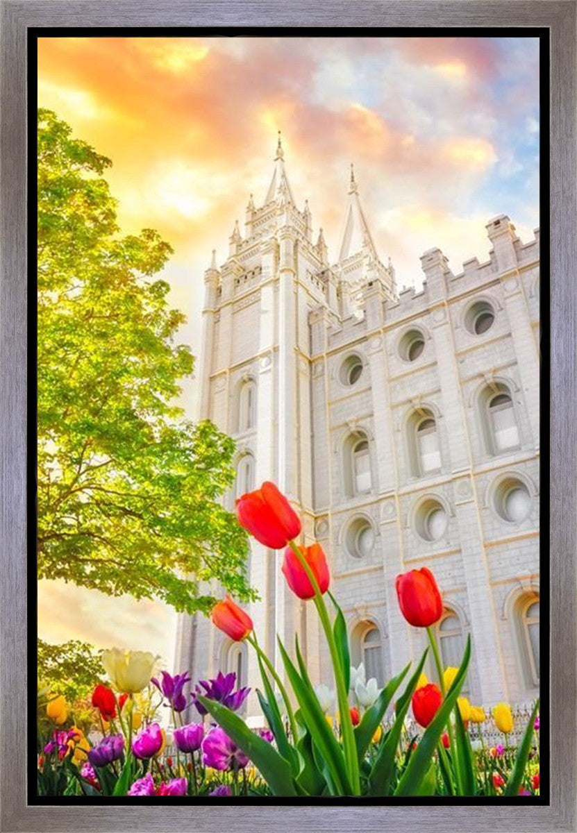 Salt Lake Spring Tulips Gallery Wrap