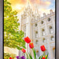 Salt Lake Spring Tulips