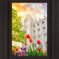 Salt Lake Spring Tulips