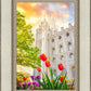 Salt Lake Spring Tulips