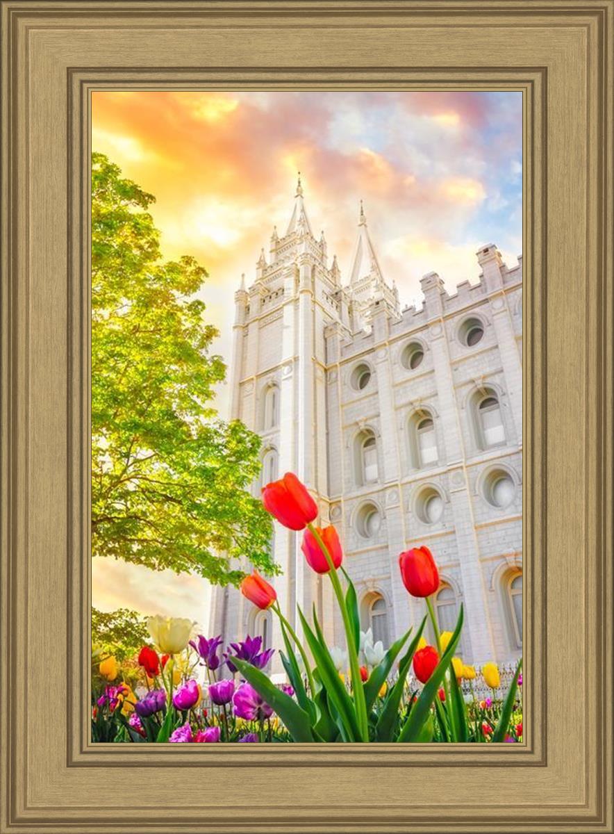Salt Lake Spring Tulips