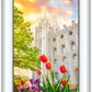 Salt Lake Spring Tulips