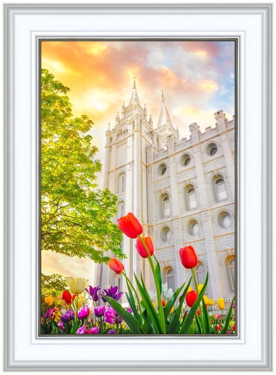 Salt Lake Spring Tulips