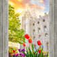 Salt Lake Spring Tulips