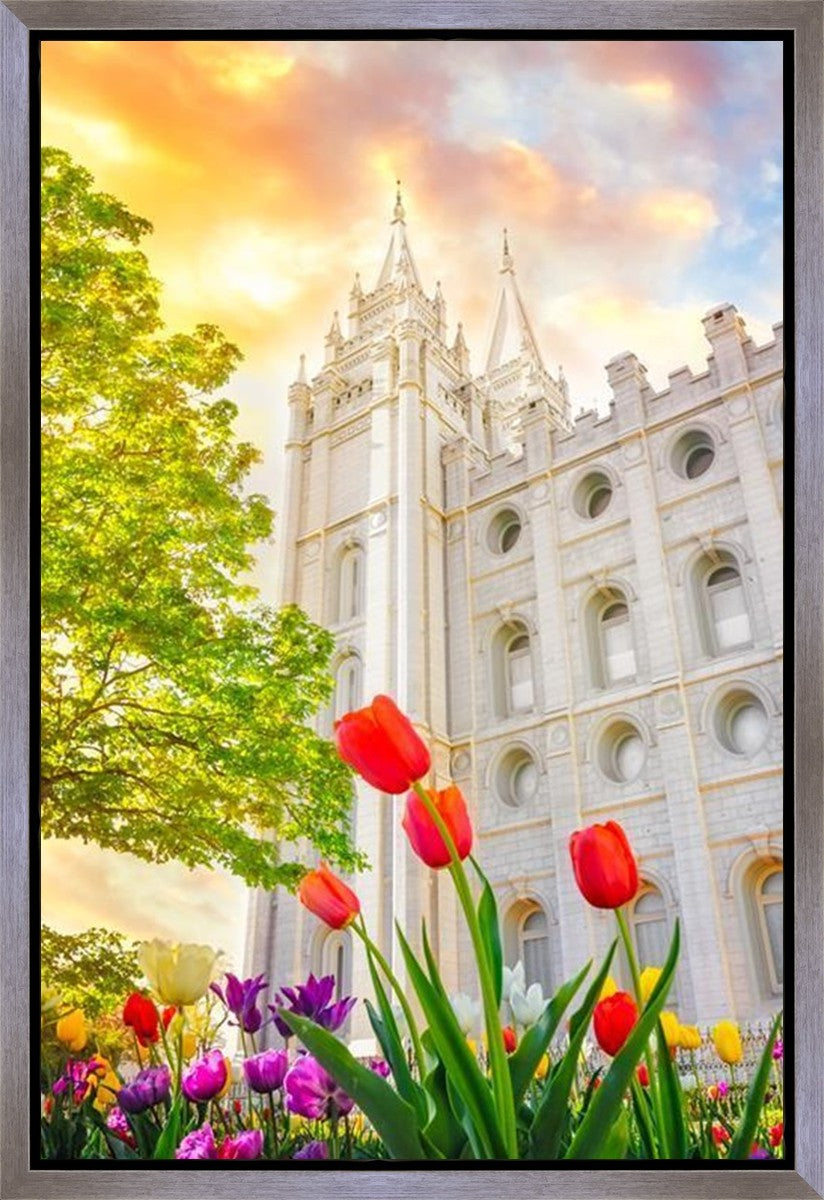 Salt Lake Spring Tulips Gallery Wrap