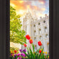 Salt Lake Spring Tulips