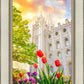 Salt Lake Spring Tulips