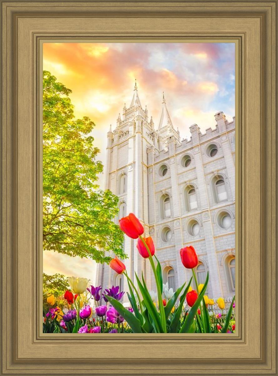 Salt Lake Spring Tulips
