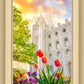 Salt Lake Spring Tulips