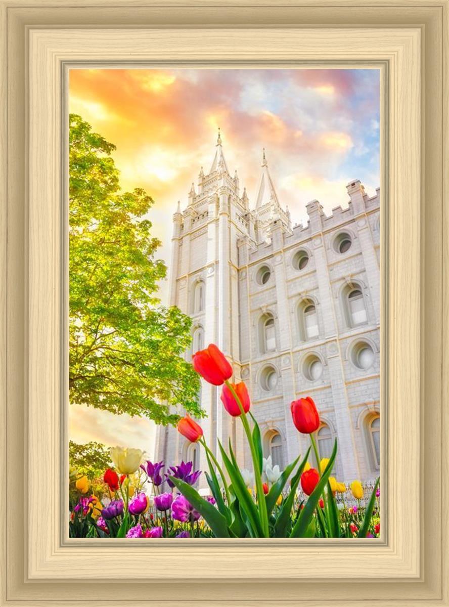 Salt Lake Spring Tulips