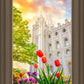 Salt Lake Spring Tulips
