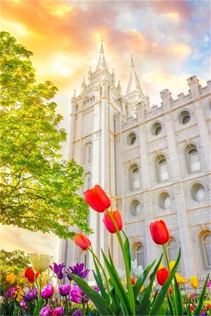 Salt Lake Spring Tulips