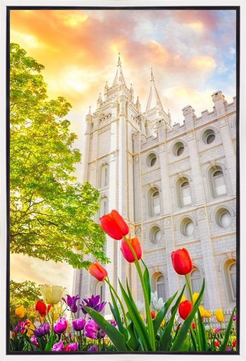 Salt Lake Spring Tulips Gallery Wrap