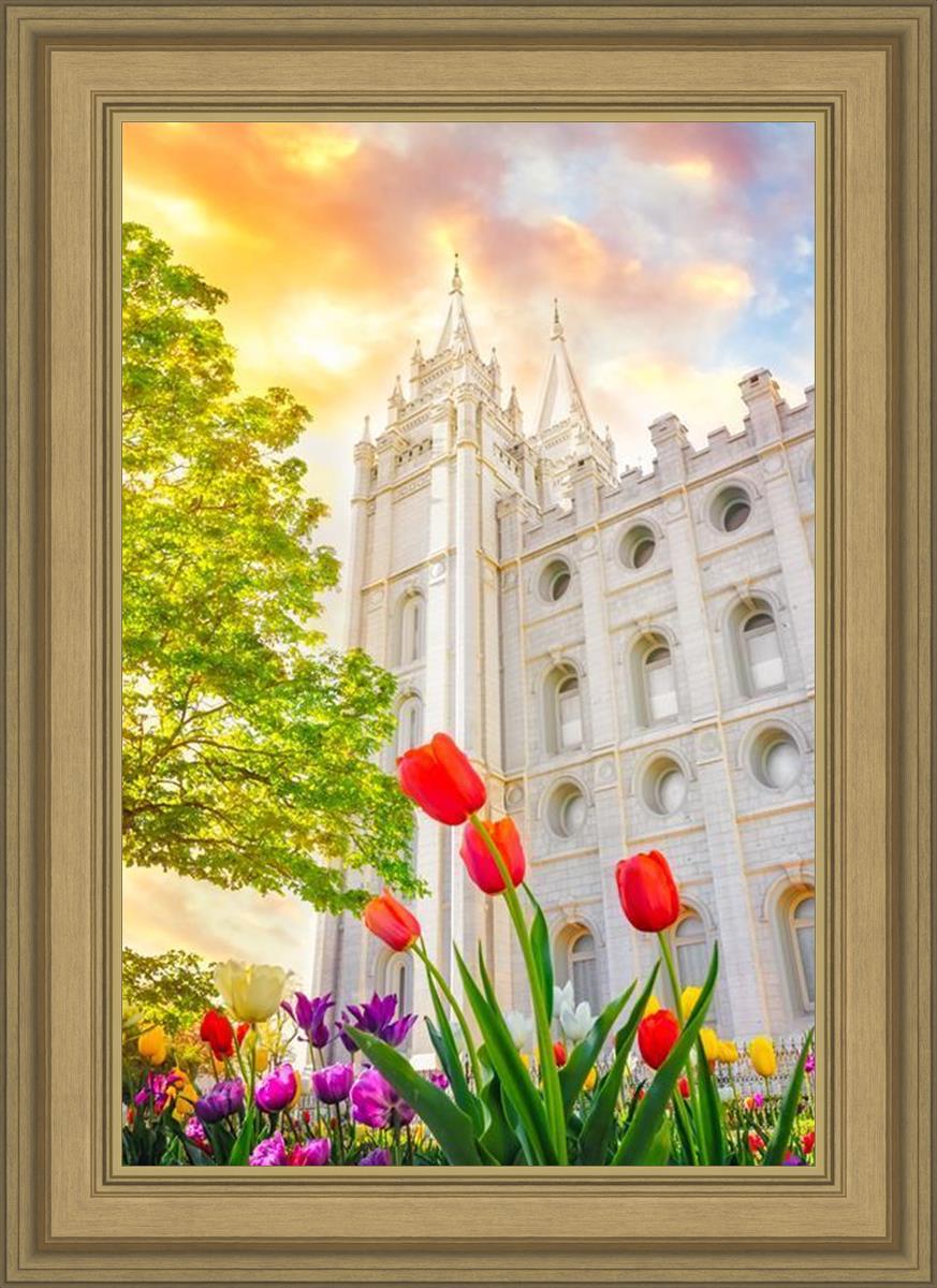 Salt Lake Spring Tulips