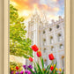 Salt Lake Spring Tulips