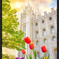 Salt Lake Spring Tulips