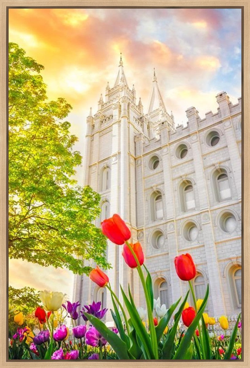 Salt Lake Spring Tulips Gallery Wrap