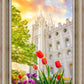 Salt Lake Spring Tulips