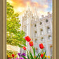Salt Lake Spring Tulips