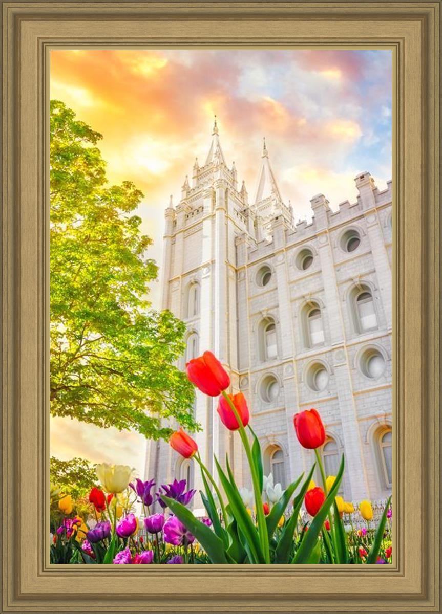 Salt Lake Spring Tulips