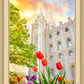 Salt Lake Spring Tulips