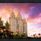 Salt Lake Tulips