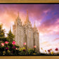 Salt Lake Tulips