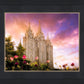 Salt Lake Tulips