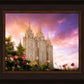 Salt Lake Tulips