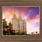 Salt Lake Tulips