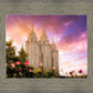 Salt Lake Tulips