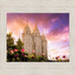 Salt Lake Tulips