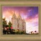 Salt Lake Tulips