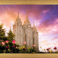 Salt Lake Tulips